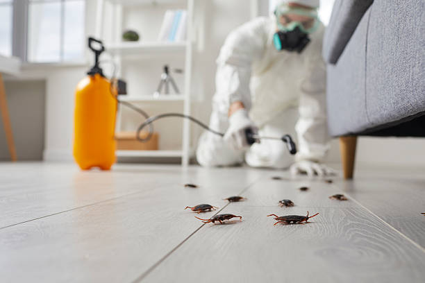 Commercial Kitchen Cockroach Control in Elverson